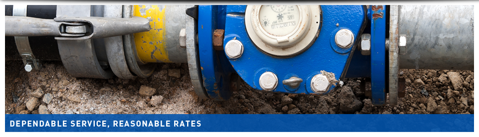 septic 
      pumping cost texas cities 
      zip batch